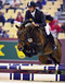 marco_kutscher_and_numero_uno_in_geneva_international_showjumping_show